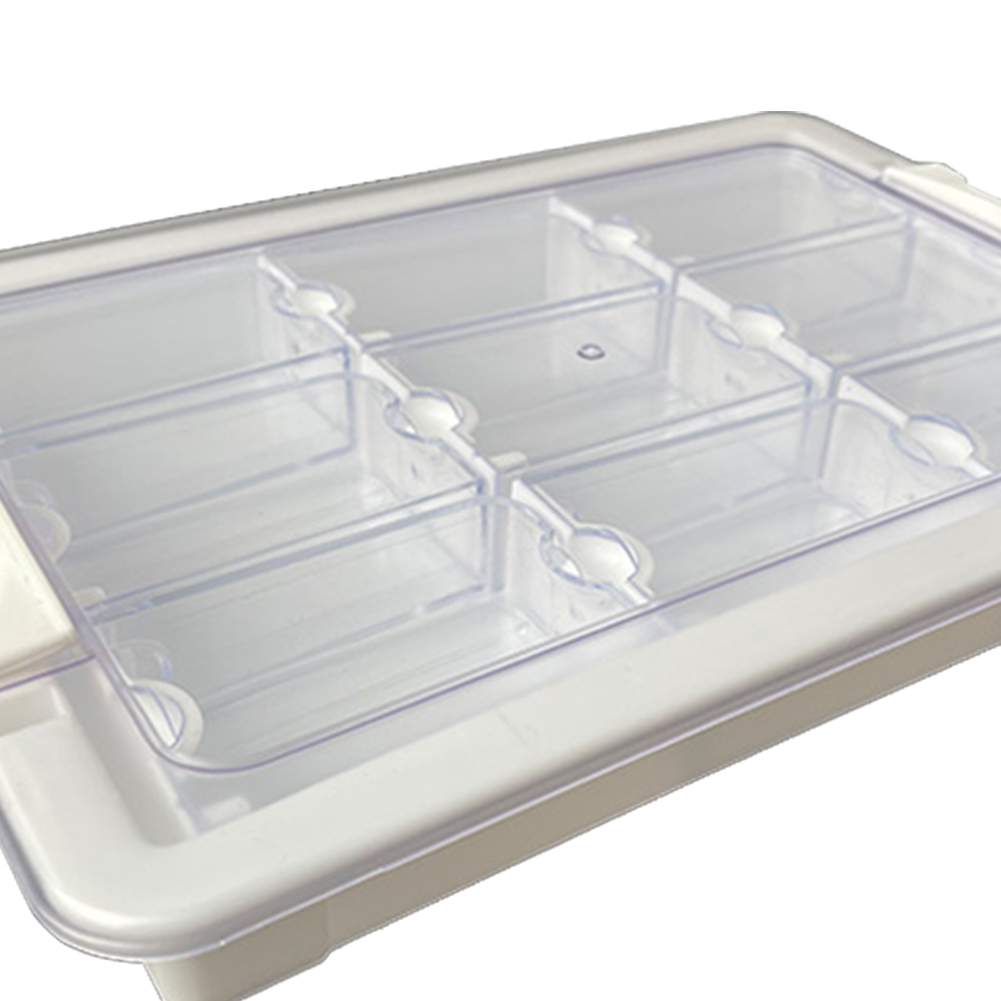 Set di Scatole Trasparenti per - Bead Organizer Tray recensione e prezzo